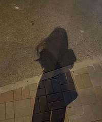 ����������97�걾�ع��� �����ȶ������� ϣ��������