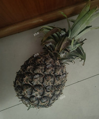 ȫ��3���ܸ˳��ɵ���û����������3���ɷ��ز�һ���