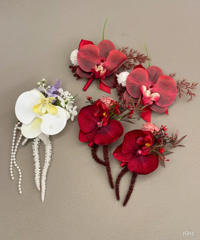 ���ҵĻ����ػ�������