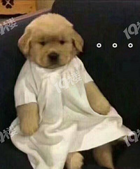 [����]��û��ͬ����"��"��������ú�ȥ�δӣ�