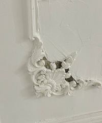 [����]��ô���˹θ������ܳ�����������ѣ�˳�򶼴��ˣ�