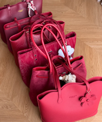 ��ս�������Ȧ�����������ʸУ�