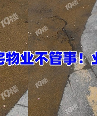 ˫Ϫ����լ��ҵ�����£�ҵ��ŭ�⣡