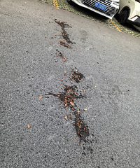 ��ô���������������������˰���ҩ������С�����ɵ��ϣ�