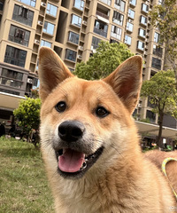 95�󱾵�Ů����