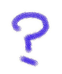 ����������ôί��ܾ����ݵ�Ҫ��