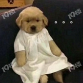 �����򷿶���ɵ�ӣ�