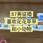 87������ϲ������