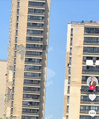 ����ĳ¥�̵������棬��ʮ�갡����֪������Ϊ������...
