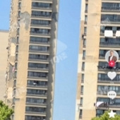 ����ĳ¥�̵������棡