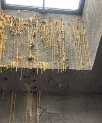 �򽺴�ǽ��ը�ѻ���ˮ����û�ж���?