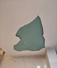 [װ������]�컨�����ǵ��ᣬ������ʲô���������