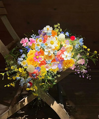 �����������Ǯ��97���з��г�����Ů������ ϣ��������