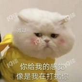 ���������򷿿��Ҿ͸���