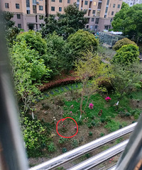 һ¥��ͷ��̫̫�������̻������ˣ��ĳ�˽��СԺ...