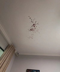 �⽦��ȥ�ǲ���ֻ��ˢ����ˣ�������ɶ�ֳ�...