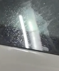 ������������ͣ������������