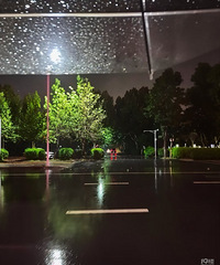 ���̼�ͥС������飡�����˶����Ϻ� �з��г� Ѱ������������