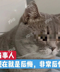 [���ѹ۵�]���ڵͼ��������ӵ��ˣ�������ڣ�