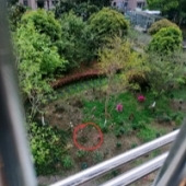 һ¥�ھӱ����̻���...