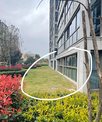 ������һ¥�����𣿲���װդ���������ƻ���ƺ...