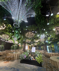 ���˻�����Щɭϵ�������Ƽ���������Ϻ�����