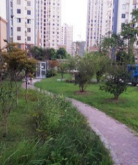 6��ĺ��ӿ��Զ��Գ�С����