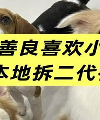 ��˼����ϲ��С����ı���Ů����