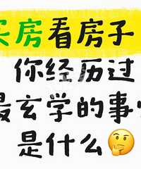 �򷿿����ӣ��㾭��������ѧ��������ʲô��