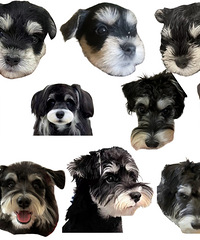 ��ҽ��׶��ŵ�С��Ϸ������Щ�����Ƽ���