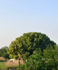 ����ƺ������ô�죡���λ���ð���ѡ��