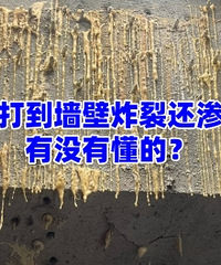 �򽺴�ǽ��ը�ѻ���ˮ����û�ж��ģ�