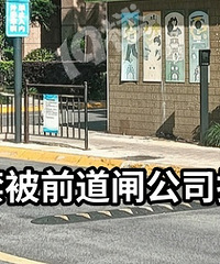̫�����˰���