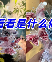 �����ҵ�����������ϸ������ʲô���ģ�