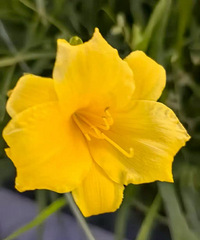 ��ʵ��ü�����һ����˵���и��޻ؼ���ҵ��