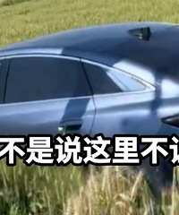 ʦ�������������ֳ�����
