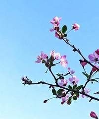 ������ĩ������ȥ���ģ��о��ܱ߶�ȥ����