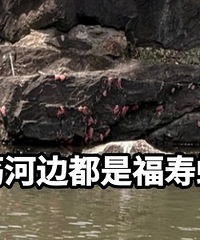 �������鿴����ͷƤ���飡