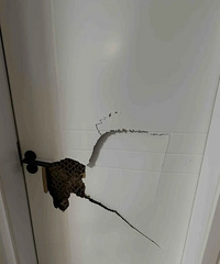 �����ͳ��ܣ�һ���ŷ�����ֽ���� �����ˡ�