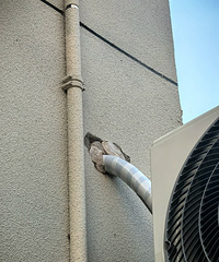 �յ������״����������