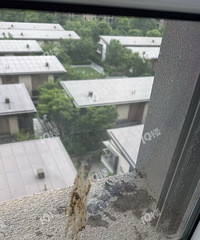 [����]����ĳ��Ԣ���ⱻ���Ӵ���ʺ������������ͷ��Ӭ��