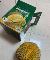 ɽķ�����������������5���⣡ζ���¸°���