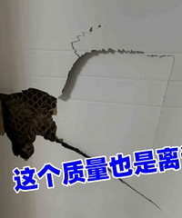 ����һ���� ������ֽ���ġ�