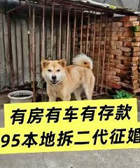 �з��г��д�95�����±��ز��������