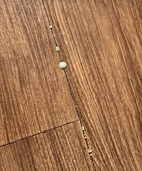 ��ͷ�Ӧ������ķ���ľ�ذ��϶ð����Ϊʲô��