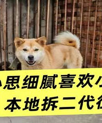 ����ϸ�屾�ز������Ů��