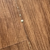 ľ�ذ���ôð���ˣ�