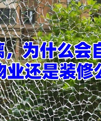 ��̨�Ĳ�����Ϊʲô���Լ����ѣ�