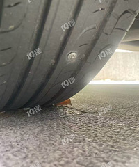 �в��ˣ������³���̥�������ζ���һ����Ȼ��ô����Ҳ�����ˣ�