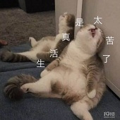���������̥��